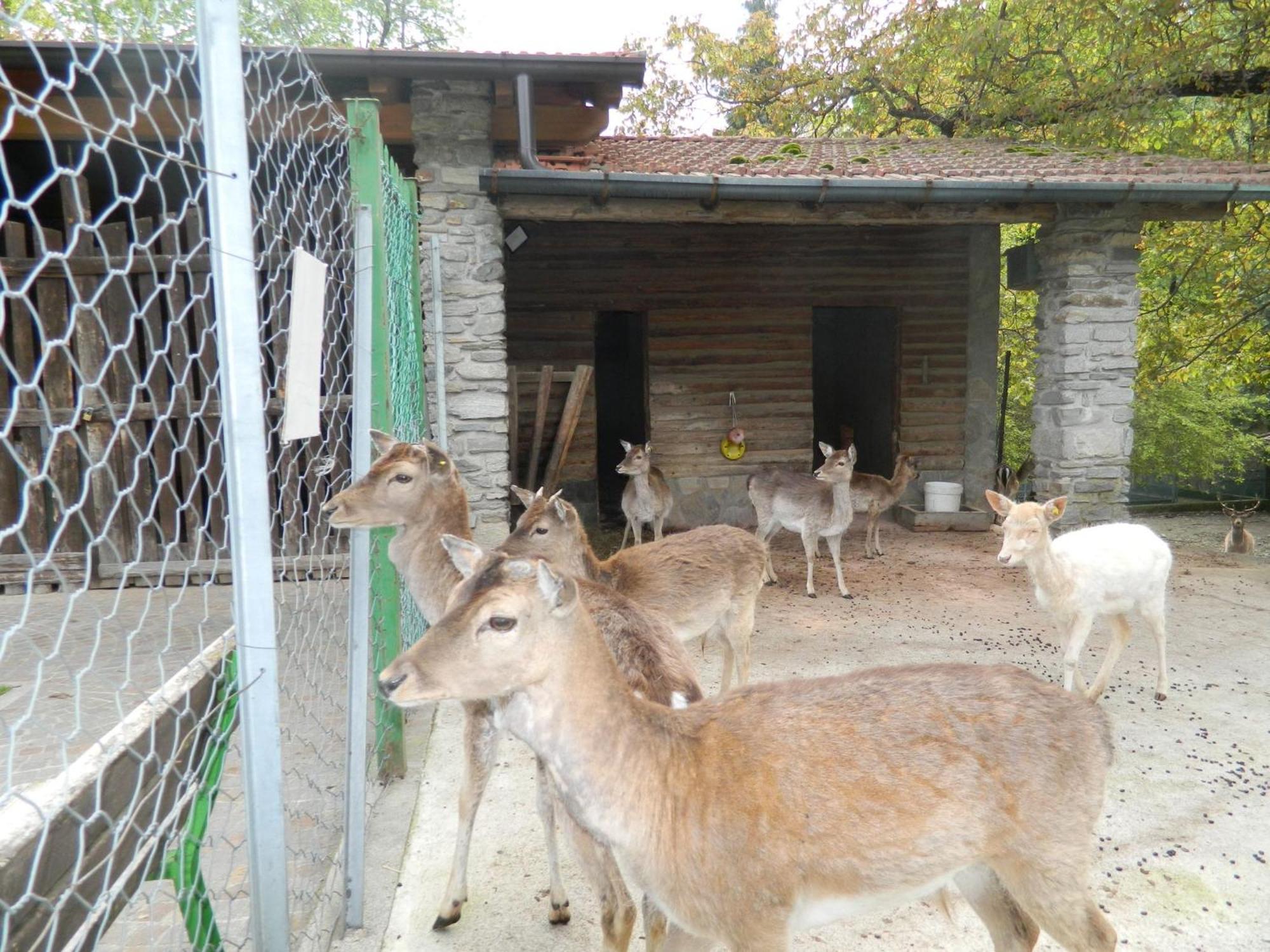 Lago Maggiore Holiday House, Lake View, Vignone Dumenza 外观 照片