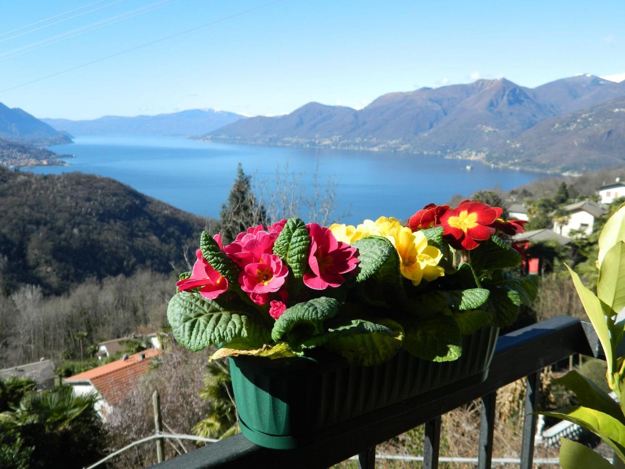 Lago Maggiore Holiday House, Lake View, Vignone Dumenza 外观 照片